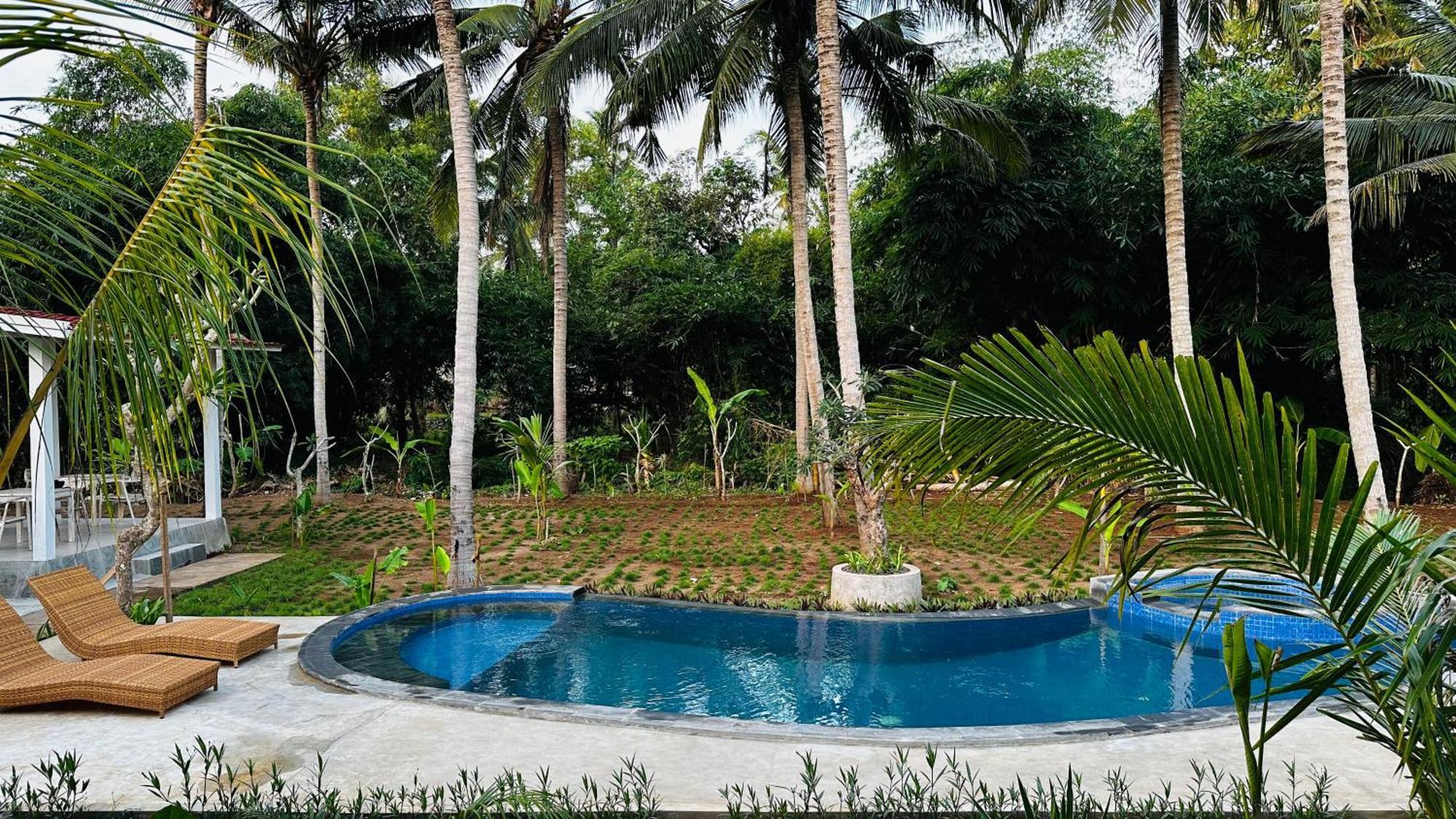 Toyapakeh Penida West Palm Cottage מראה חיצוני תמונה