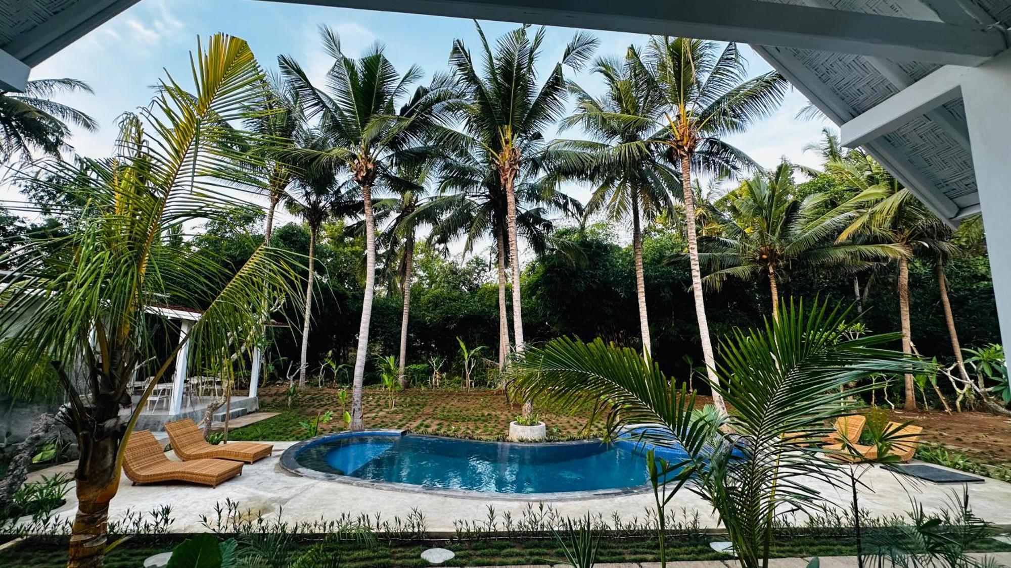 Toyapakeh Penida West Palm Cottage מראה חיצוני תמונה